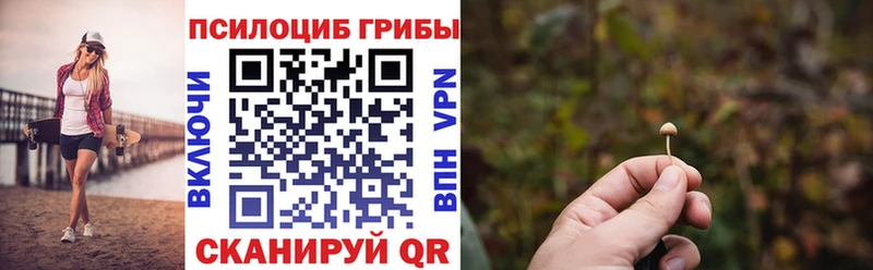 Галлюциногенные грибы Psilocybine cubensis  купить закладку  дарк нет состав  Ильский 